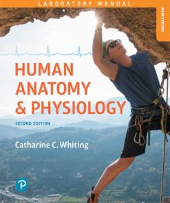 Human Anatomy & Physiology Laboratory Manual (2nd Edition)