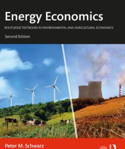 Energy Economics (2nd Edition)
