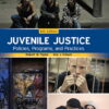 Juvenile Justice: Policies, Programs, and Practices (6th Edition)
