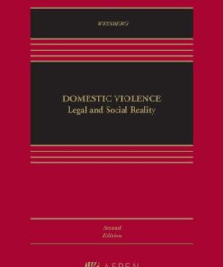 Domestic Violence: Legal and Social Reality (2nd Edition)