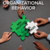 Organizational Behavior: Real Solutions to Real Challenges - 1st Edition