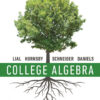 College Algebra - 13th Edition
