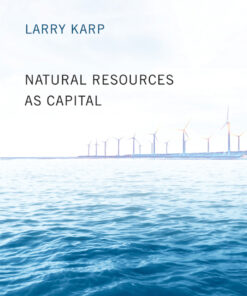 Natural Resources as Capital