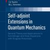 Self-adjoint Extensions in Quantum Mechanics