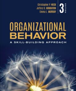 Organizational Behavior - 3rd Edition