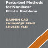 Singularly Perturbed Methods for Nonlinear Elliptic Problems