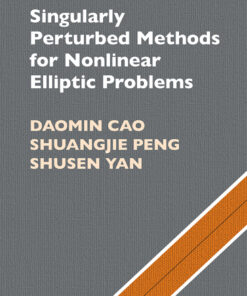 Singularly Perturbed Methods for Nonlinear Elliptic Problems