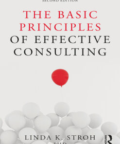 The Basic Principles of Effective Consulting - 2nd Edition
