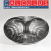 Calculus: Early Transcendentals - 4th Edition