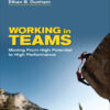 Working in Teams - 1st Edition