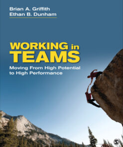 Working in Teams - 1st Edition