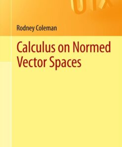 Calculus on Normed Vector Spaces