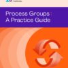 Process Groups: A Practice Guide