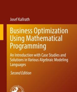 Business Optimization Using Mathematical Programming - 2nd Edition