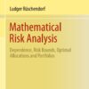Mathematical Risk Analysis
