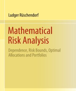 Mathematical Risk Analysis