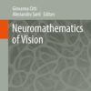 Neuromathematics of Vision