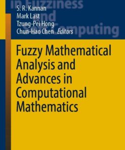 Fuzzy Mathematical Analysis and Advances in Computational Mathematics