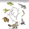 The Dissection of Vertebrates - 3rd Edition