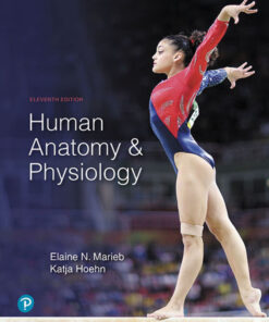 Human Anatomy & Physiology - 11th Edition