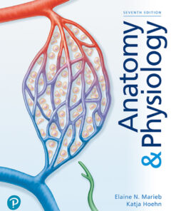 Anatomy & Physiology - 7th Edition