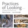 Practices of Looking - 3rd Edition