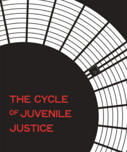 The Cycle of Juvenile Justice - 2nd Edition