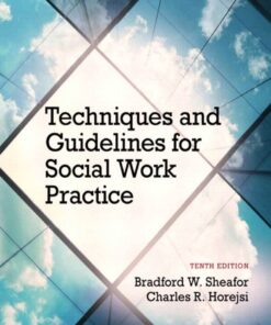 Techniques and Guidelines for Social Work Practice - 10th Edition
