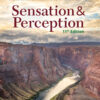 Sensation and Perception - 11th Edition