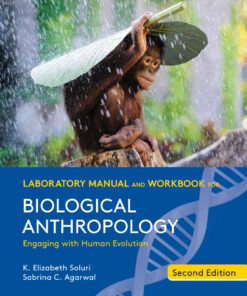 Laboratory Manual and Workbook for Biological Anthropology - 2nd Edition