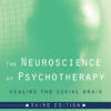 The Neuroscience of Psychotherapy: Healing the Social Brain (Norton Series on Interpersonal Neurobiology) - 3rd Edition