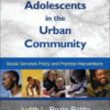 African-American Adolescents in the Urban Community - 1st Edition