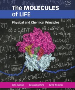 The Molecules of Life - 1st Edition