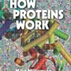 How Proteins Work - 1st Edition