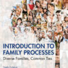 Introduction to Family Processes - 6th Edition