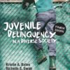 Juvenile Delinquency in a Diverse Society - 4th Edition