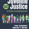 Juvenile Justice - 2nd Edition