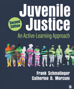 Juvenile Justice - 2nd Edition