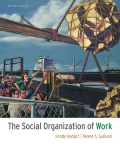 The Social Organization of Work - 5th Edition