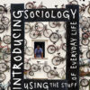 Introducing Sociology Using the Stuff of Everyday Life - 1st Edition