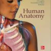 Human Anatomy