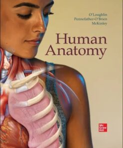 Human Anatomy