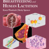 Breastfeeding and Human Lactation - 7th Edition