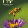 Life: The Science of Biology - 12th Edition