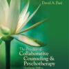 The Practice of Collaborative Counseling and Psychotherapy - 1st Edition