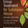 Group Treatment for Substance Abuse - 2nd Edition