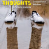 Second Thoughts: Sociology Challenges Conventional Wisdom - 7th Edition