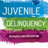 Juvenile Delinquency: Pathways and Prevention - 1st Edition