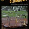 Juvenile Delinquency - 11th Edition