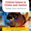 Critical Issues in Crime and Justice - 3rd Edition
